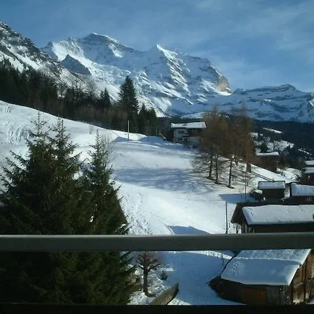 Guest With A Great View At Brunner *