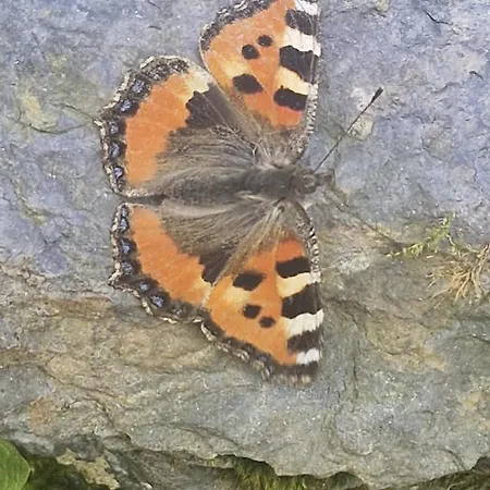 Guest With A Great View At Brunner דירה *