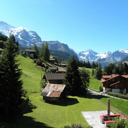 Guest With A Great View At Brunner