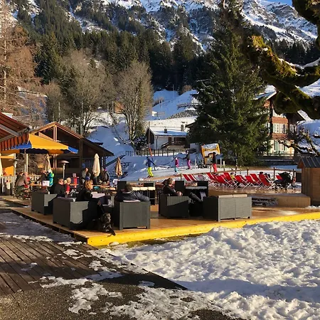 Guest With A Great View At Brunner