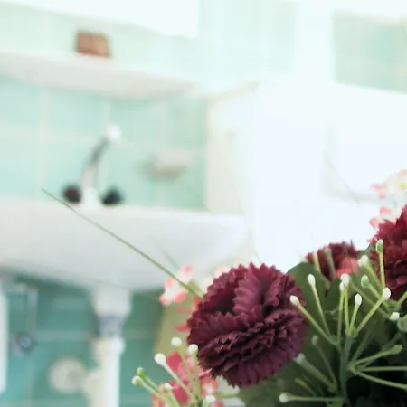 Guest With A Great View At Brunner Appartamento Wengen