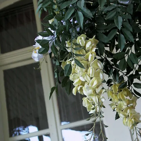 Appartamento Guest With A Great View At Brunner Wengen