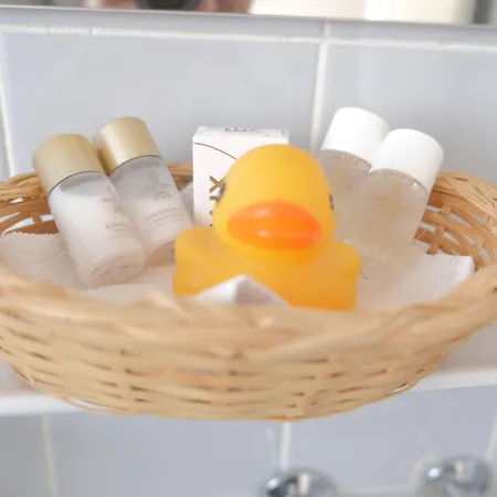 Guest With A Great View At Brunner